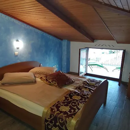 Guest house Senegacnik