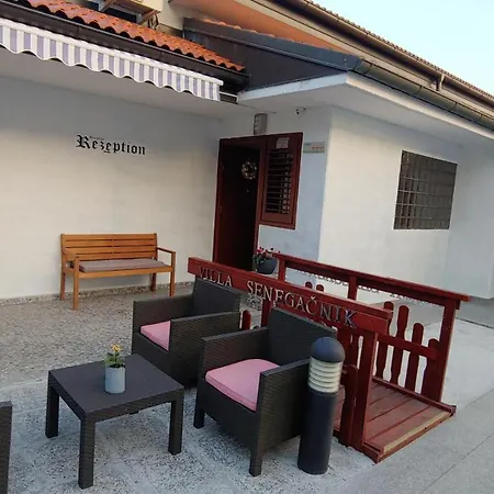Senegacnik Guest house 3*